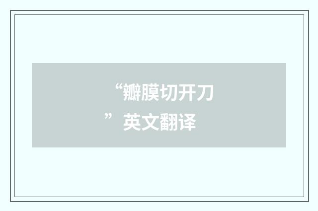 “瓣膜切开刀”英文翻译