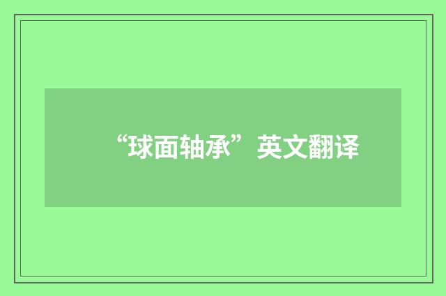 “球面轴承”英文翻译
