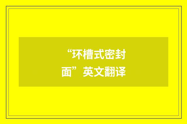 “环槽式密封面”英文翻译