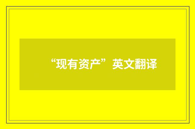 “现有资产”英文翻译