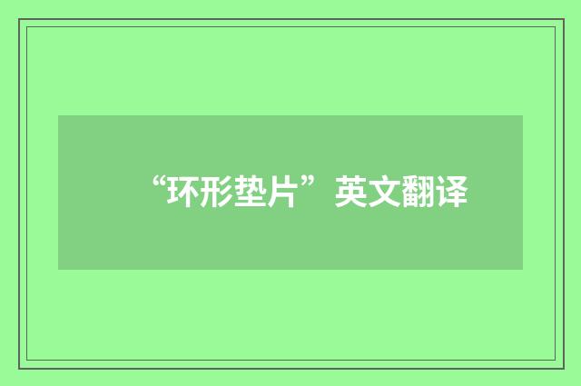 “环形垫片”英文翻译