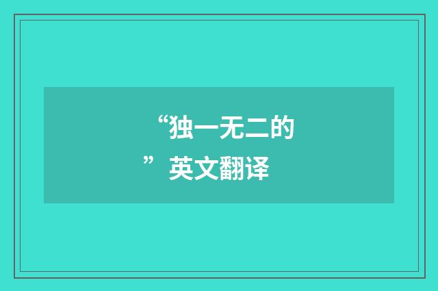“独一无二的”英文翻译
