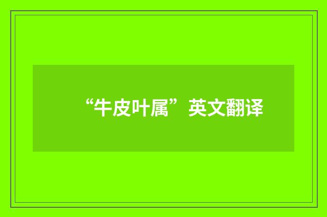 “牛皮叶属”英文翻译