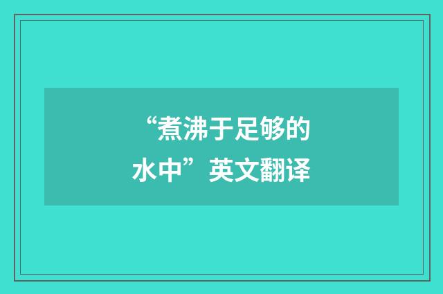 “煮沸于足够的水中”英文翻译