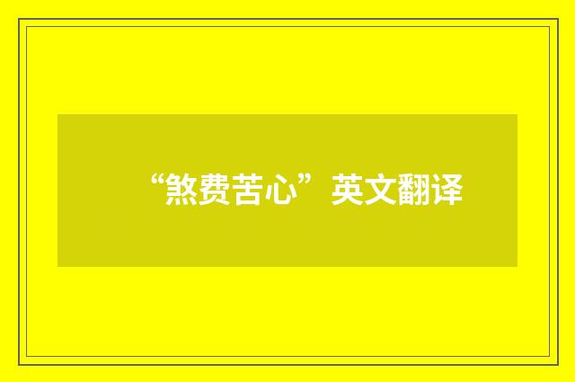 “煞费苦心”英文翻译