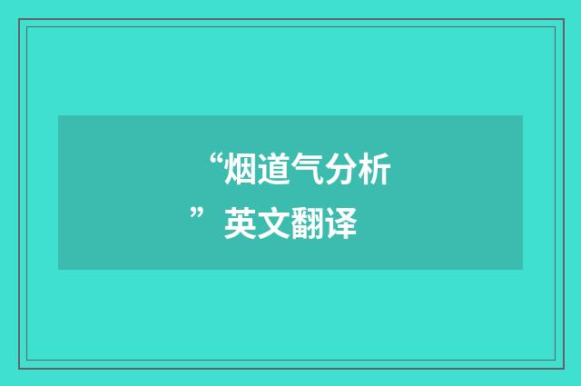 “烟道气分析”英文翻译