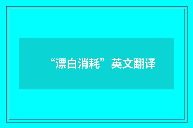 “漂白消耗”英文翻译