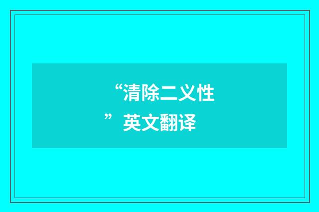 “清除二义性”英文翻译