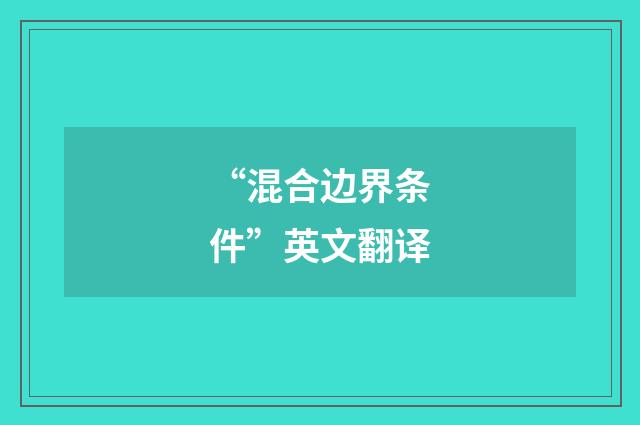 “混合边界条件”英文翻译