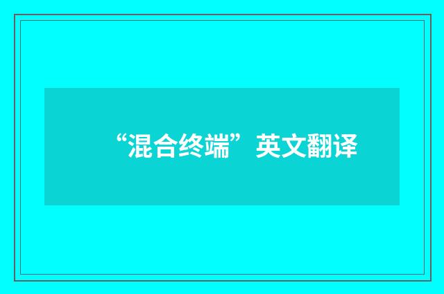 “混合终端”英文翻译