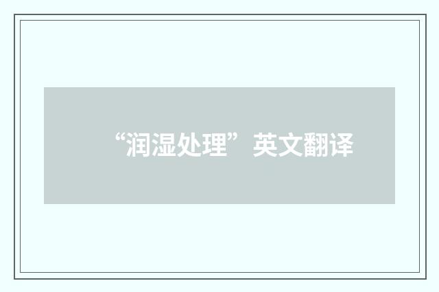 “润湿处理”英文翻译