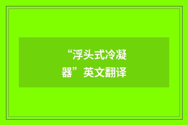 “浮头式冷凝器”英文翻译