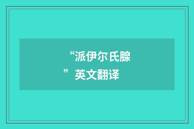 “派伊尔氏腺”英文翻译