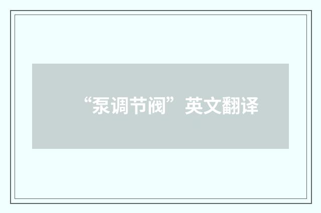 “泵调节阀”英文翻译