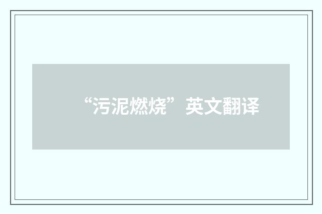 “污泥燃烧”英文翻译