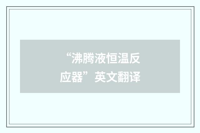 “沸腾液恒温反应器”英文翻译