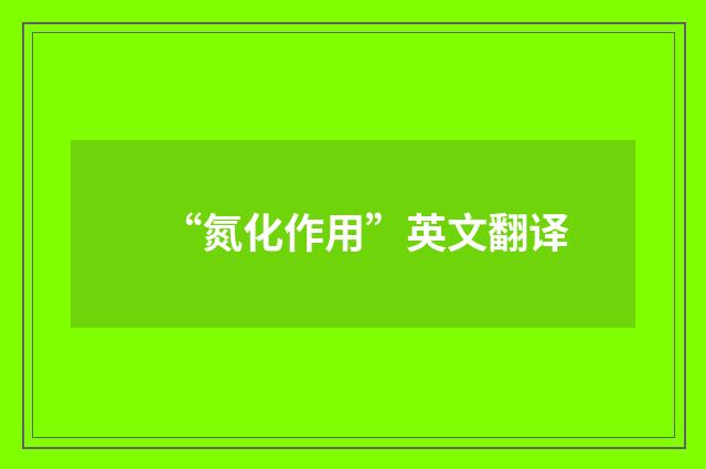 “氮化作用”英文翻译