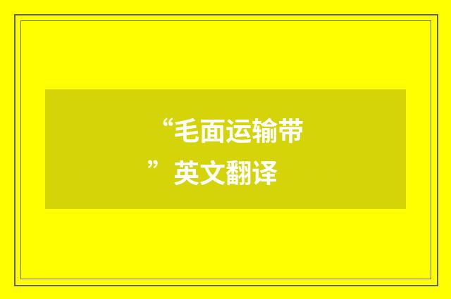 “毛面运输带”英文翻译
