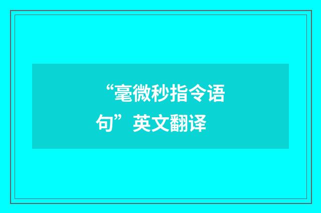 “毫微秒指令语句”英文翻译