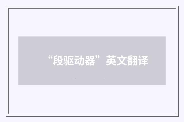 “段驱动器”英文翻译