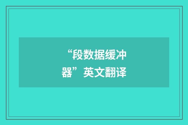 “段数据缓冲器”英文翻译