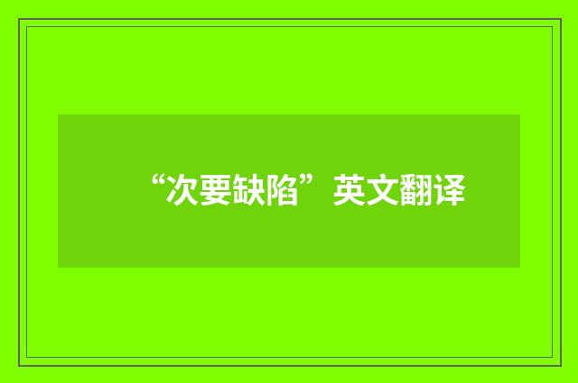 “次要缺陷”英文翻译
