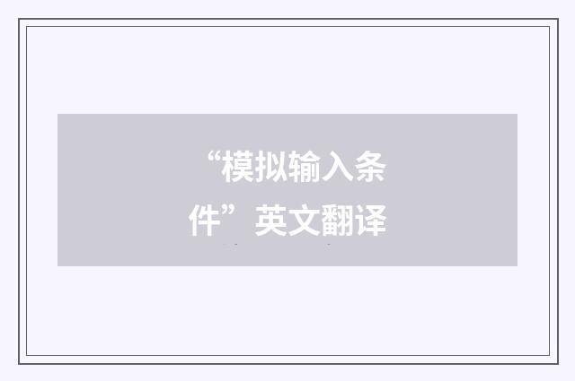 “模拟输入条件”英文翻译