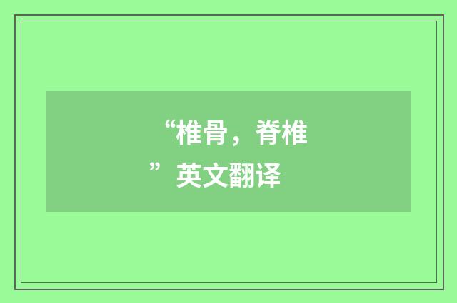 “椎骨，脊椎”英文翻译