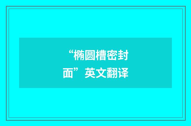 “椭圆槽密封面”英文翻译