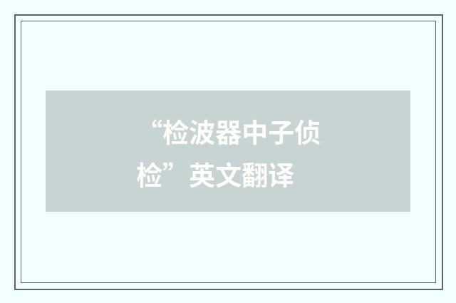 “检波器中子侦检”英文翻译