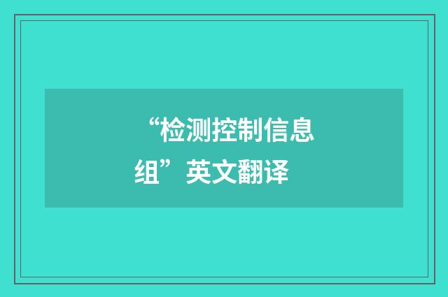 “检测控制信息组”英文翻译
