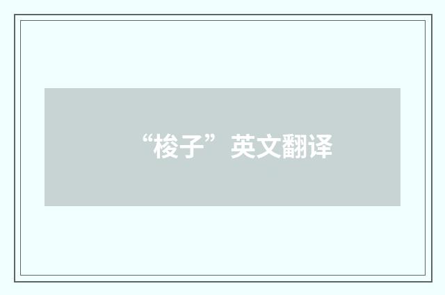 “梭子”英文翻译