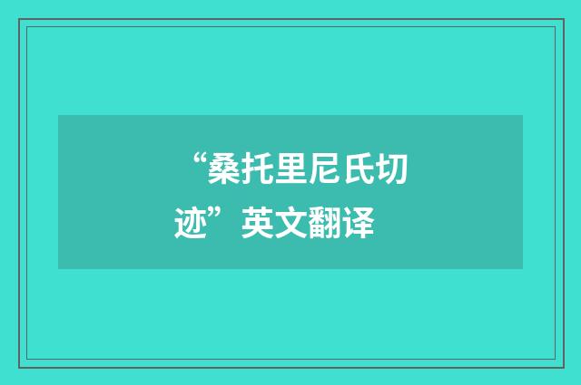 “桑托里尼氏切迹”英文翻译