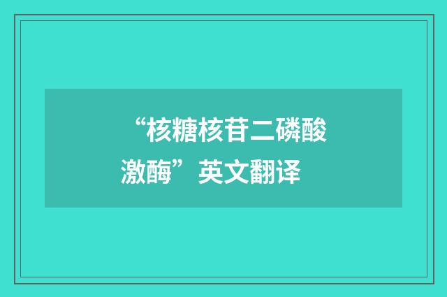 “核糖核苷二磷酸激酶”英文翻译