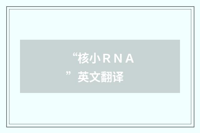 “核小ＲＮＡ”英文翻译