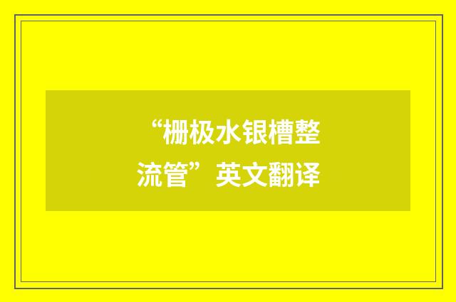 “栅极水银槽整流管”英文翻译