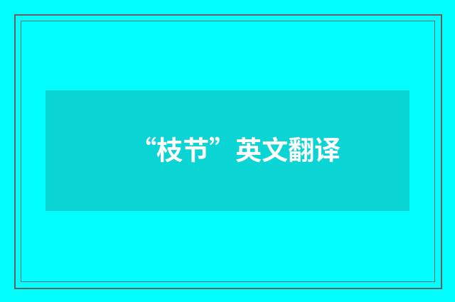 “枝节”英文翻译