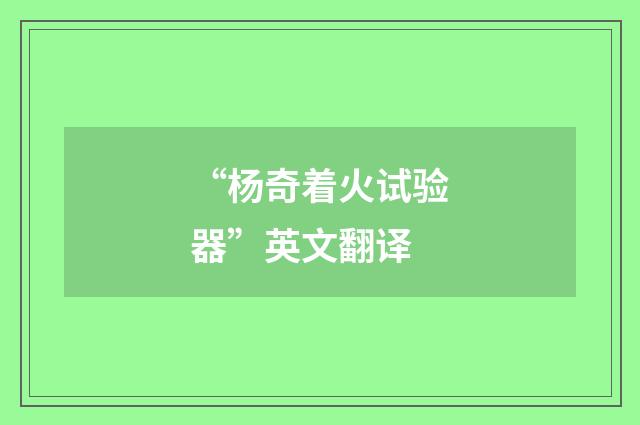 “杨奇着火试验器”英文翻译