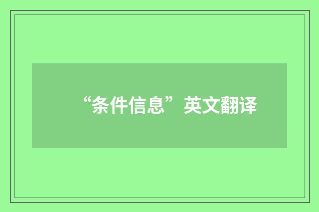 “条件信息”英文翻译