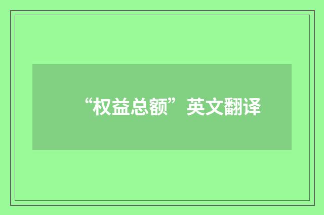 “权益总额”英文翻译