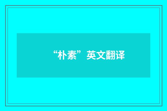 “朴素”英文翻译