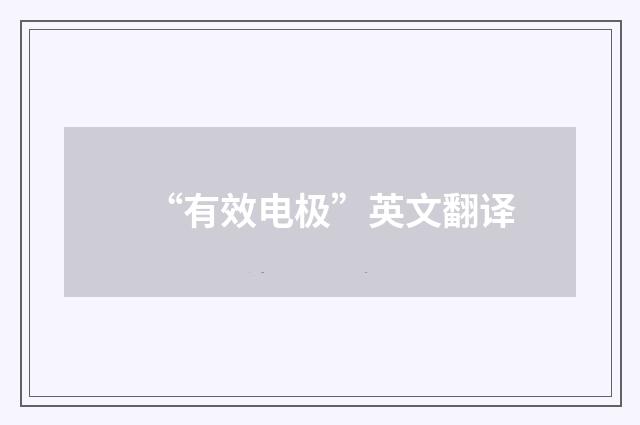 “有效电极”英文翻译