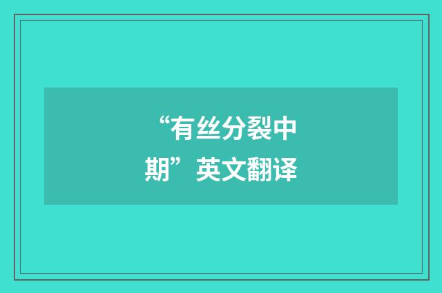 “有丝分裂中期”英文翻译
