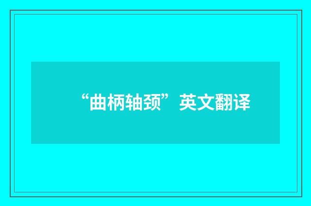 “曲柄轴颈”英文翻译