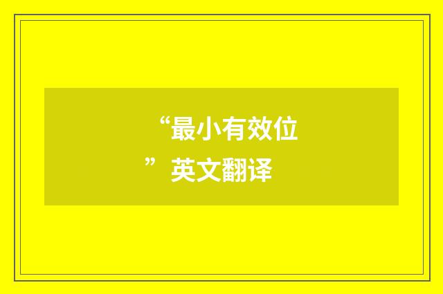 “最小有效位”英文翻译