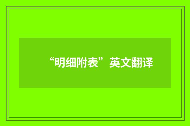 “明细附表”英文翻译