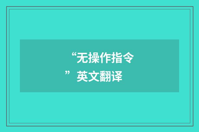 “无操作指令”英文翻译
