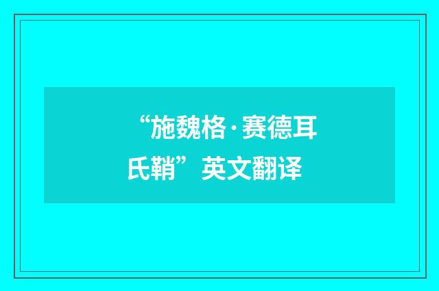 “施魏格·赛德耳氏鞘”英文翻译