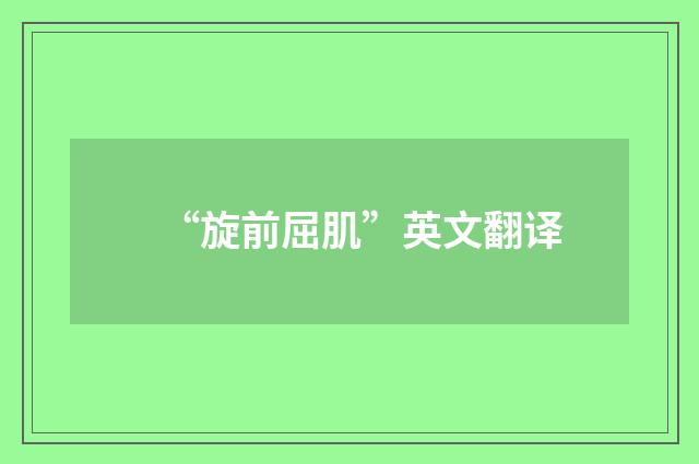 “旋前屈肌”英文翻译