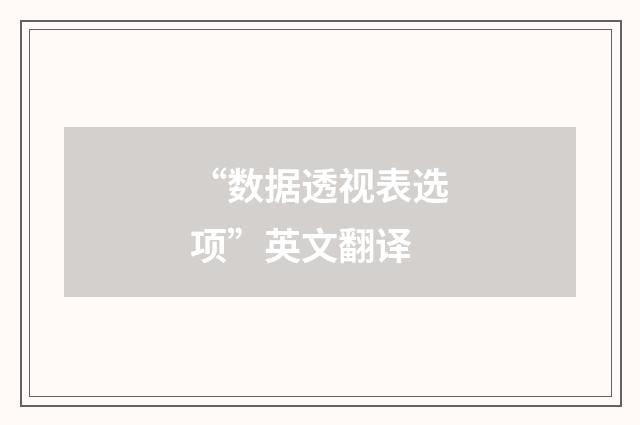 “数据透视表选项”英文翻译